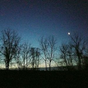 Meet your Posher, Kimberlee